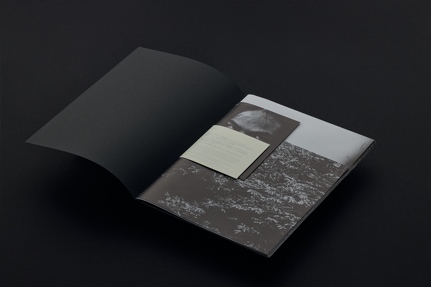 artwork book design death Photography  cover editorial Layout print publication typography  