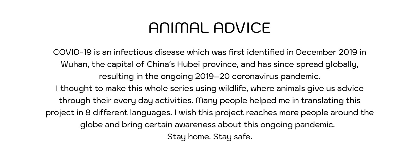 vector art animals marketing   Advertising  COVID-19 pandemic graphic design  Logo Design visual identity Social media post
