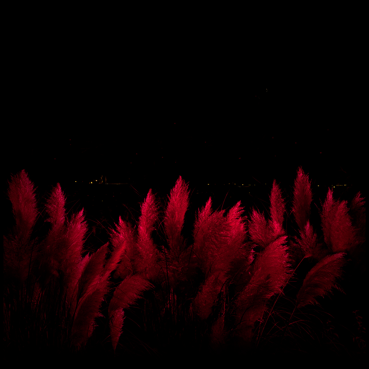 neil young selfportrait red colors death Landscape night black reserch portraits