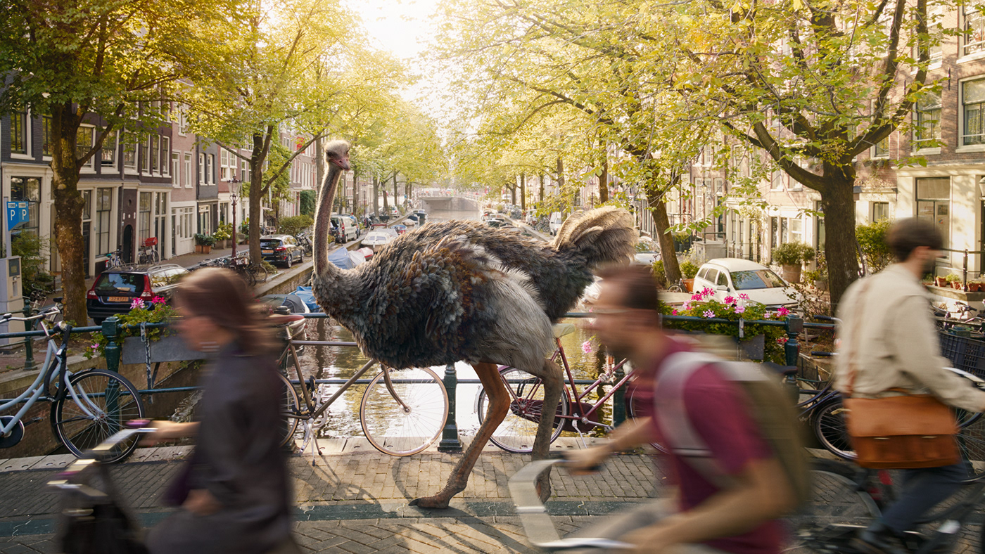 bird CG CGI city Europe Fun ostrich surreal tourism Travel