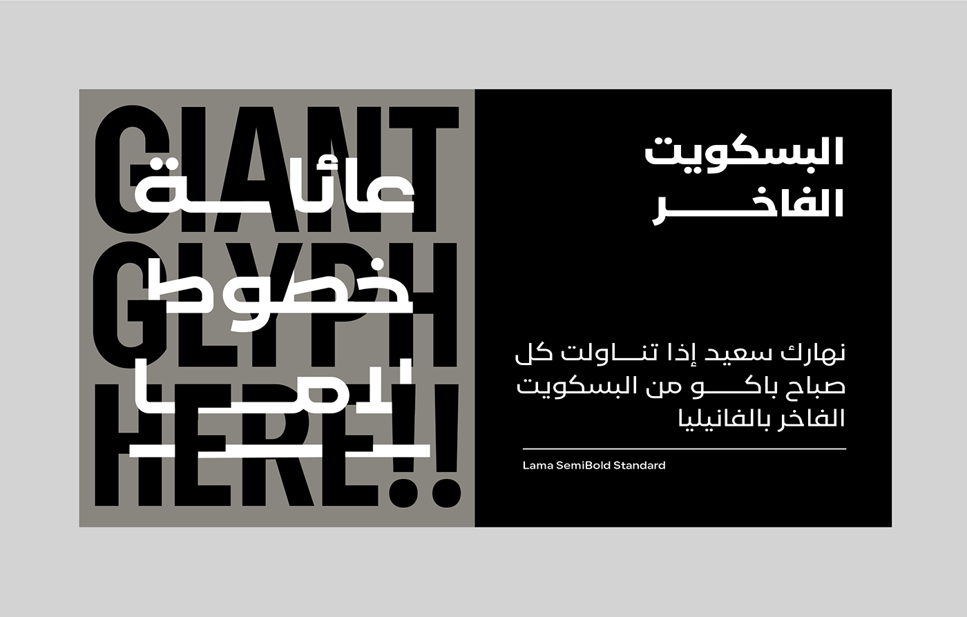 arabic Calligraphy   font lettering Script type type design typedesign Typeface typography  