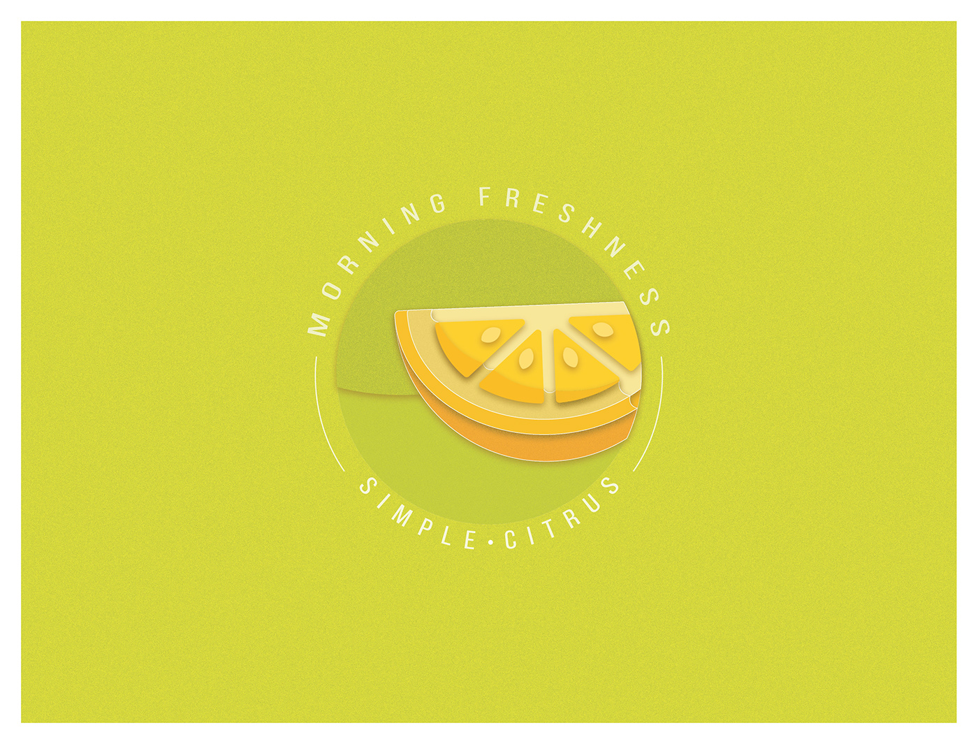 branding  design graphic design  graphics illustrations logo typography  