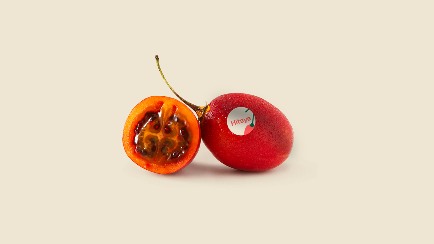 branding  exportaciones fruits frutas