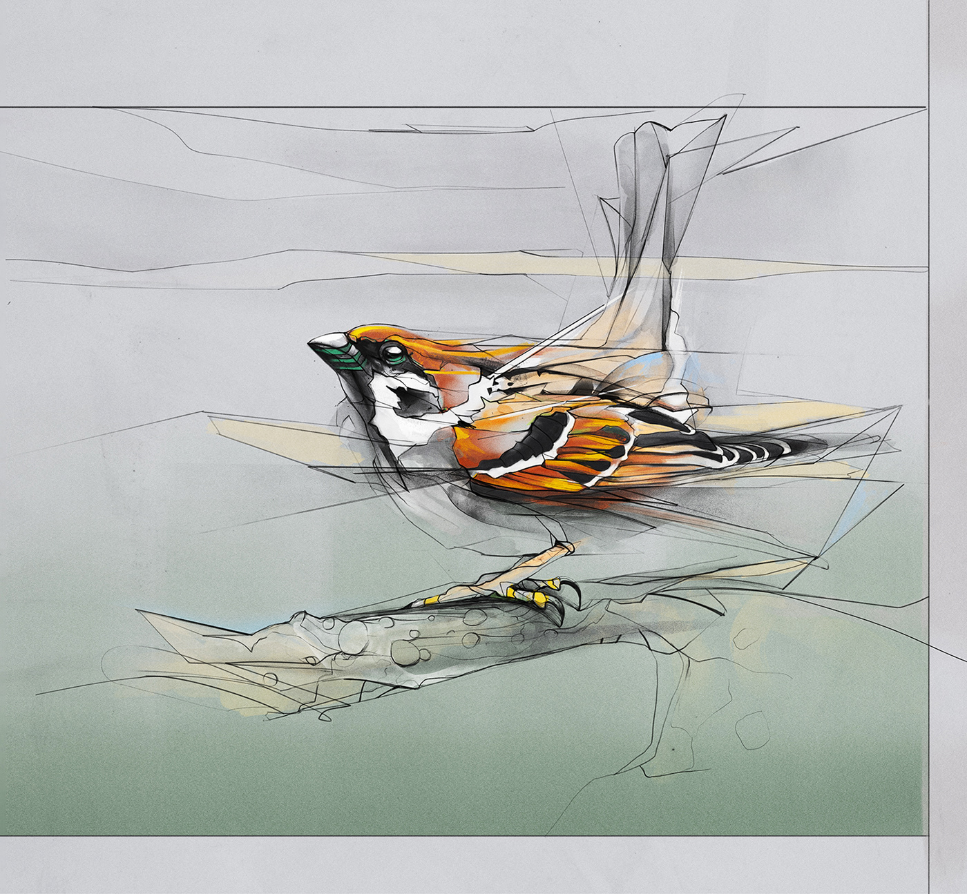 Drawing  digital illustration birds snakes Nature lineart geometric blossom animal magnilia