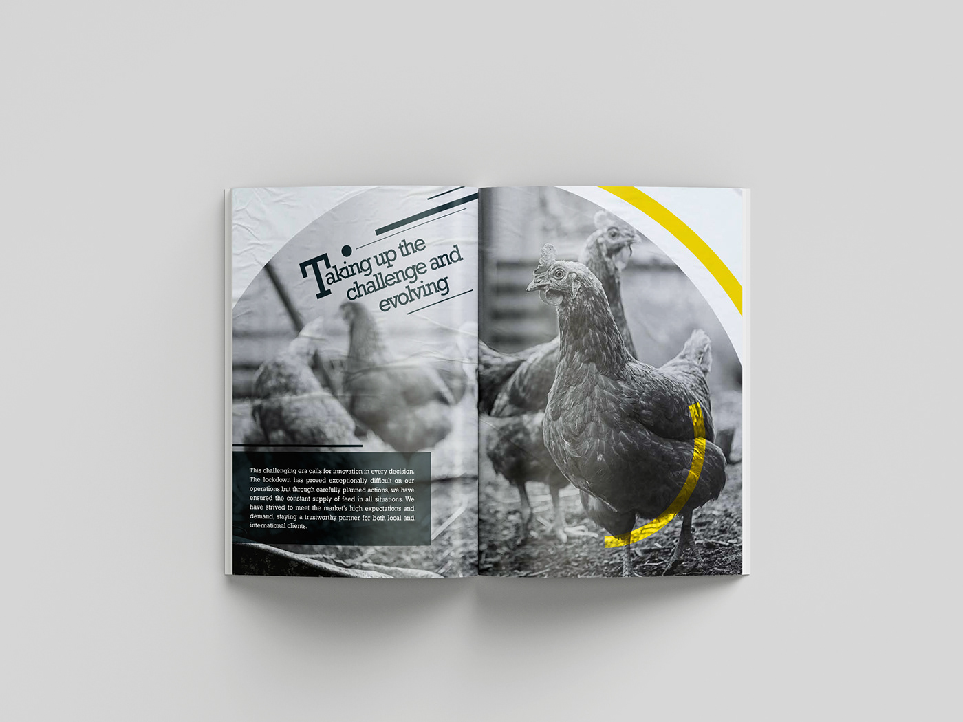 animal feed animals annual report communist constructivism editorial graphic design  Livestock print resilience