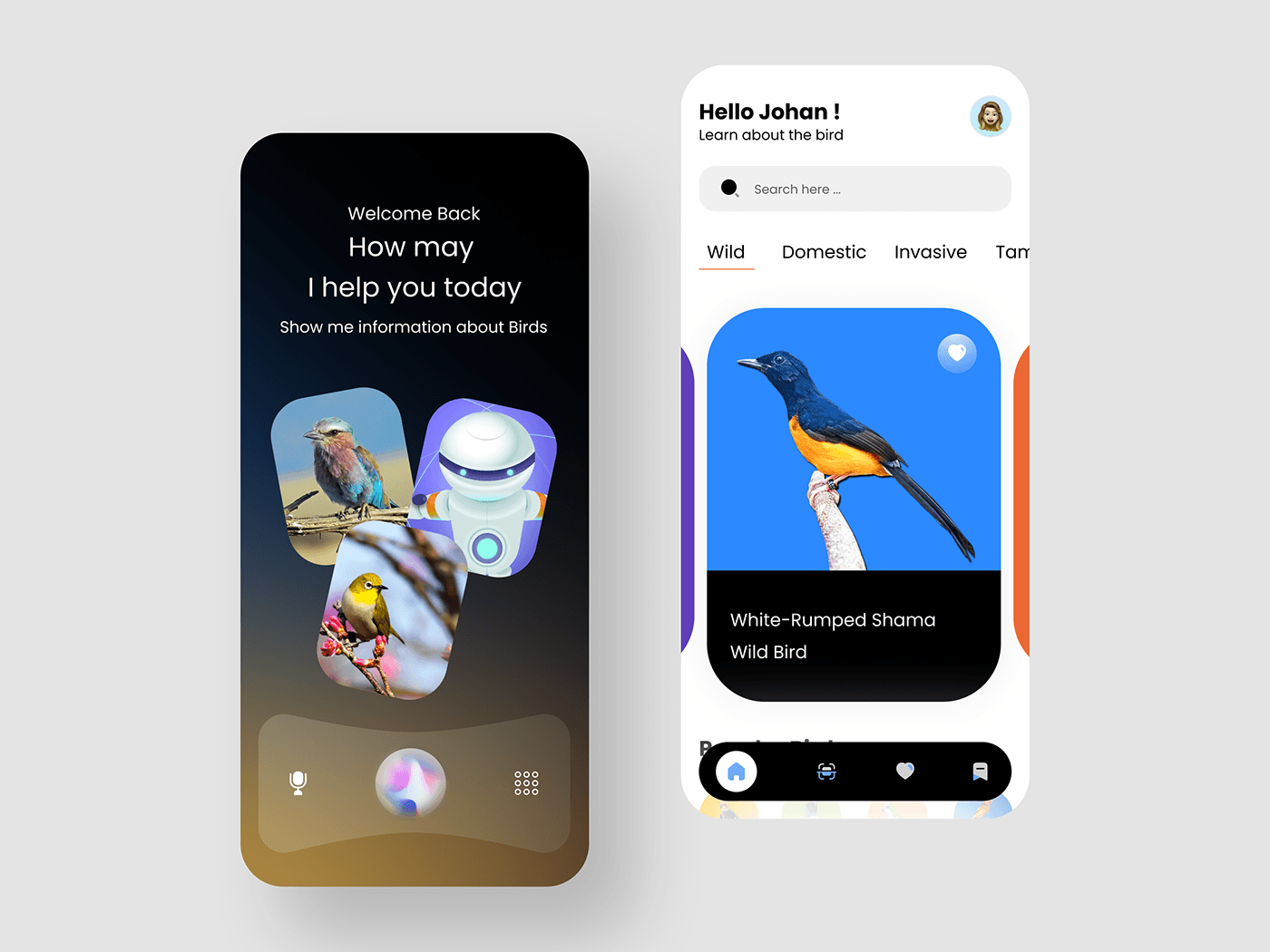 birds animals minimal Mobile app uiux ai artificial intelligence robotics designer applications