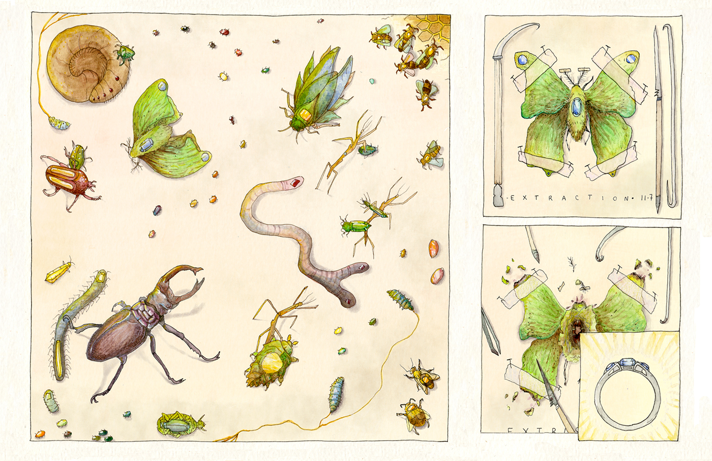 watercolor scientific illustration Creature Design Sequential Art animal illustration portrait botox beauty Insects hummingbird