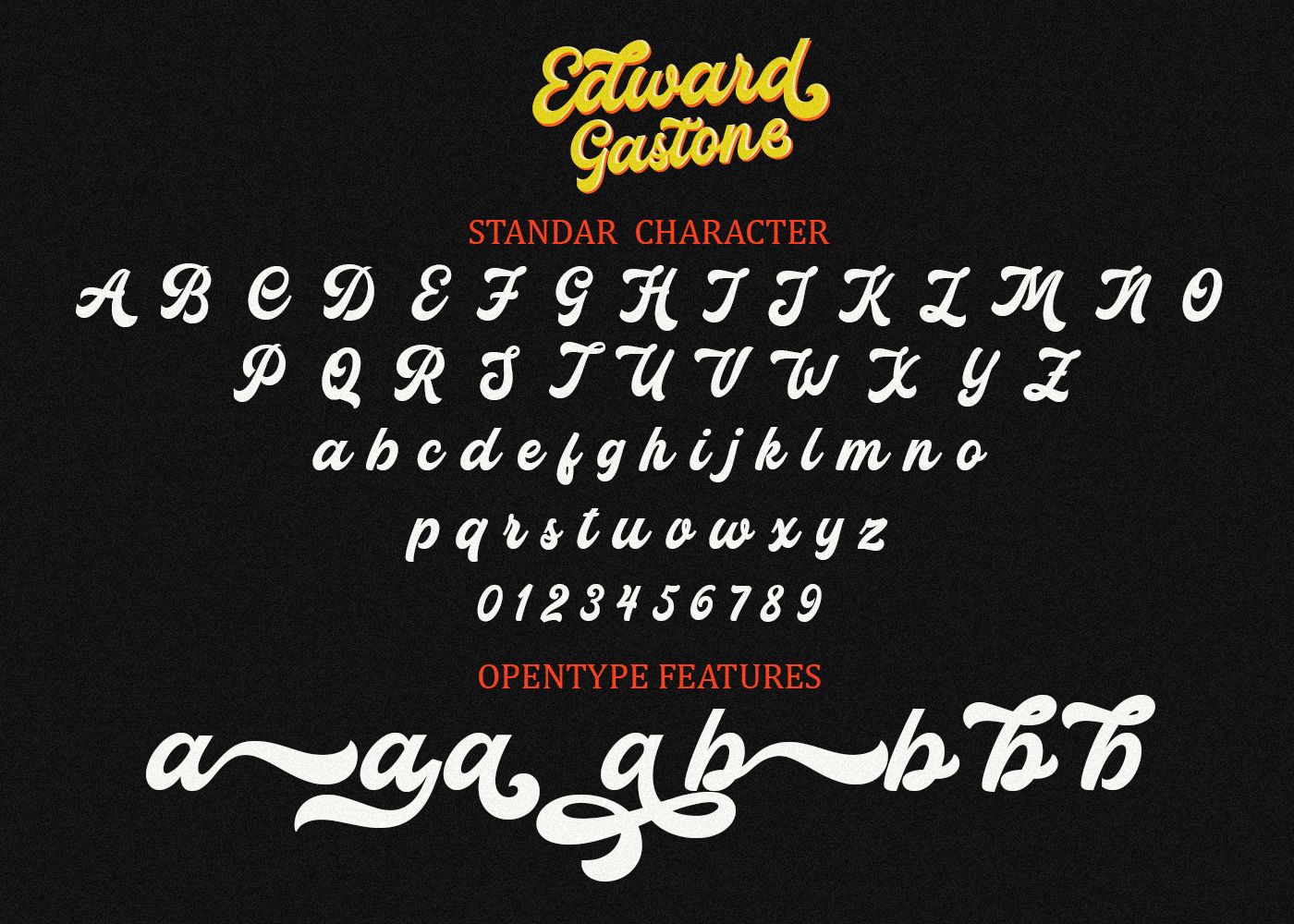 branding  Calligraphy   Retro Script Typeface