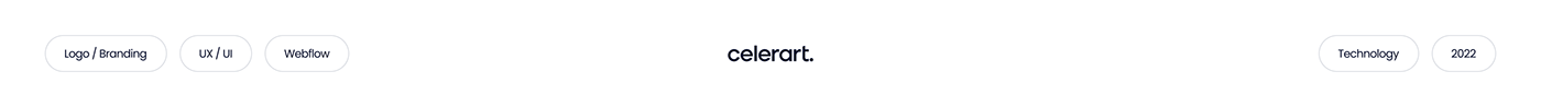 animation  branding  celerart content development logo SEO Startup UI/UX Website