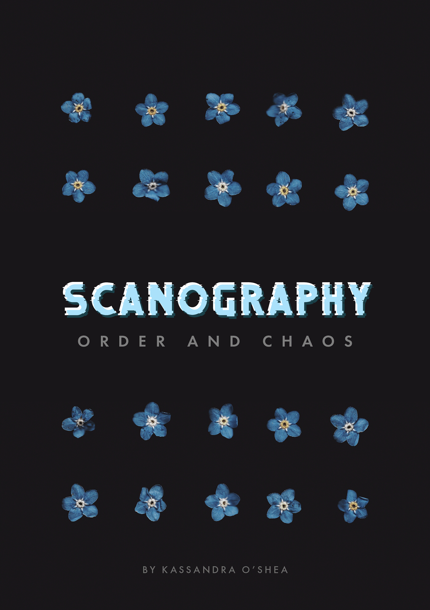 chaos Flowers Nature objects Order scanogram scanograms scanography