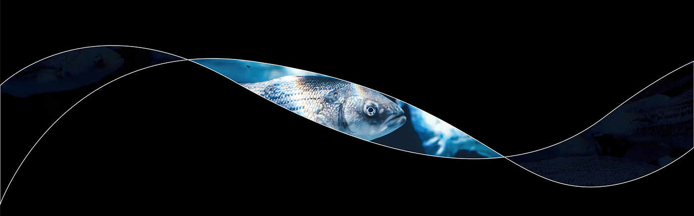 black blue brand fish logo minimal modern Seawater shop brandidentity