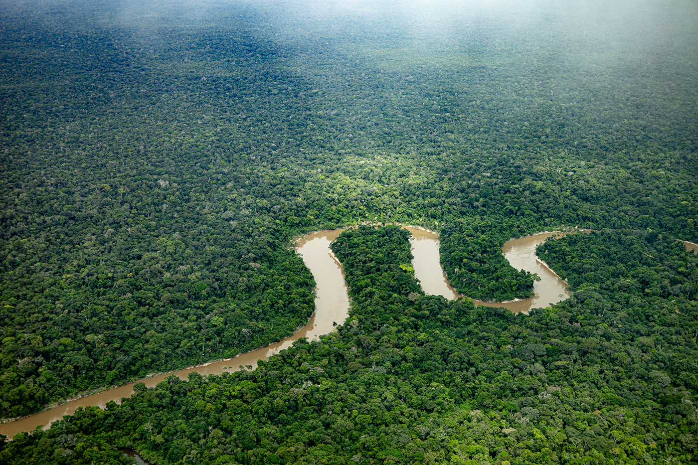 Amazon Amazonas colombia serpiente selva natural photography rios