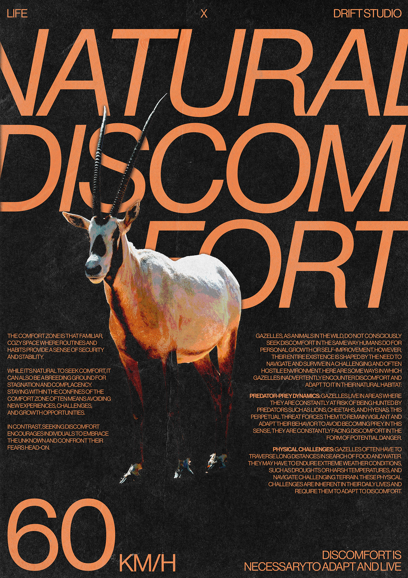 design poster Poster Design typography   Social media post drift