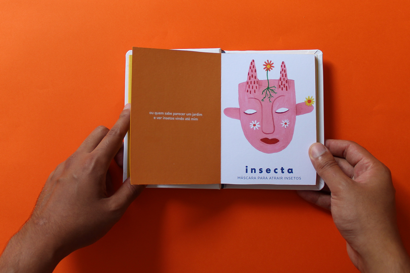 book ILLUSTRATION  editorial adobe illustrator Livro press kit Packaging brazilian design vernacular childrens book bda2023