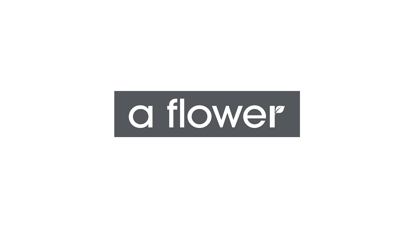 logo branding  ID identification flower wholesale graphic design 