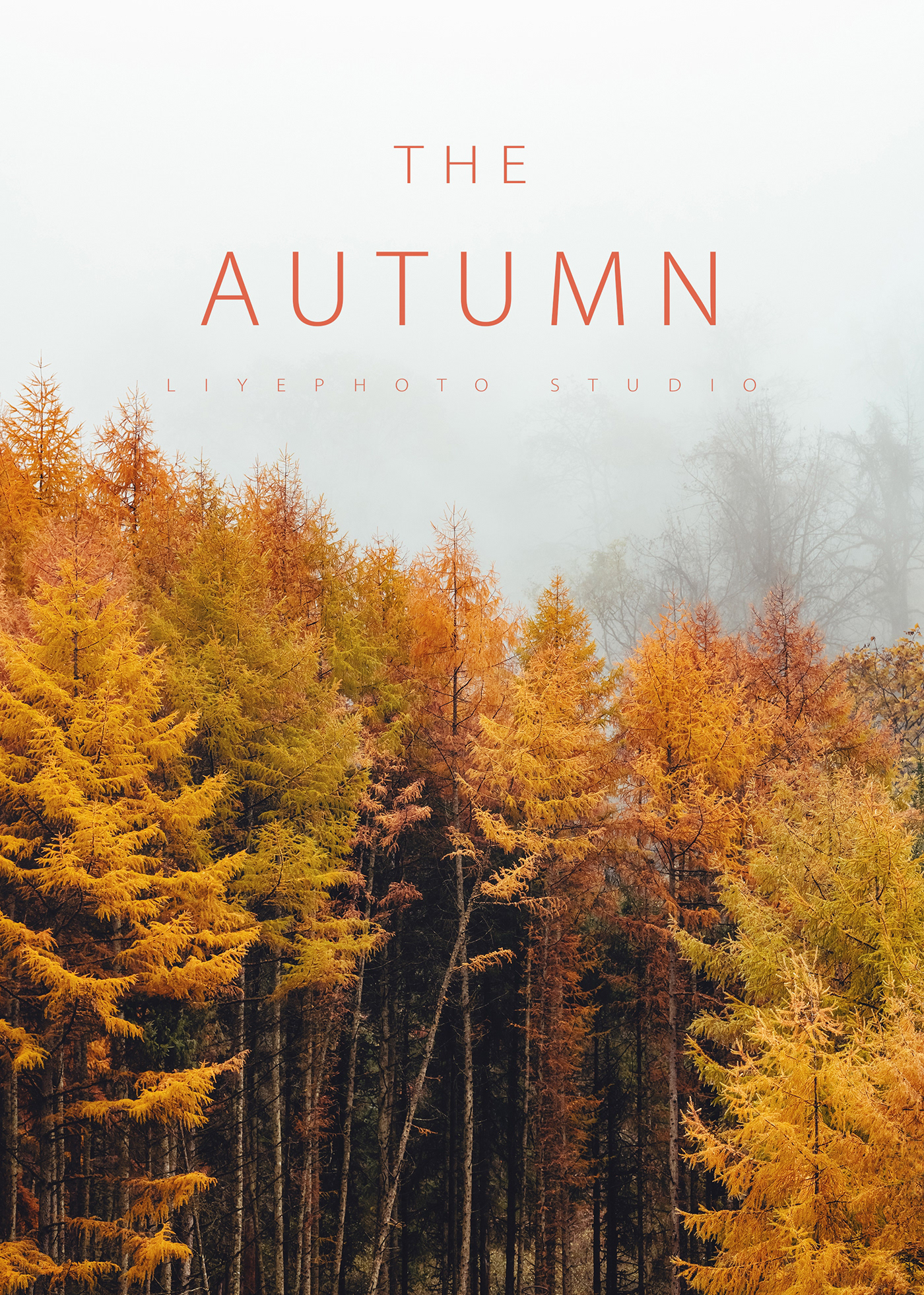 Autumn·SiChuan on Behance