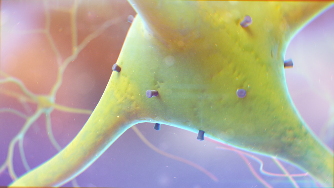 moa Medical Animation antibody IMMUNE macrophage Antigen neuron tumor Neuroblastoma Cell