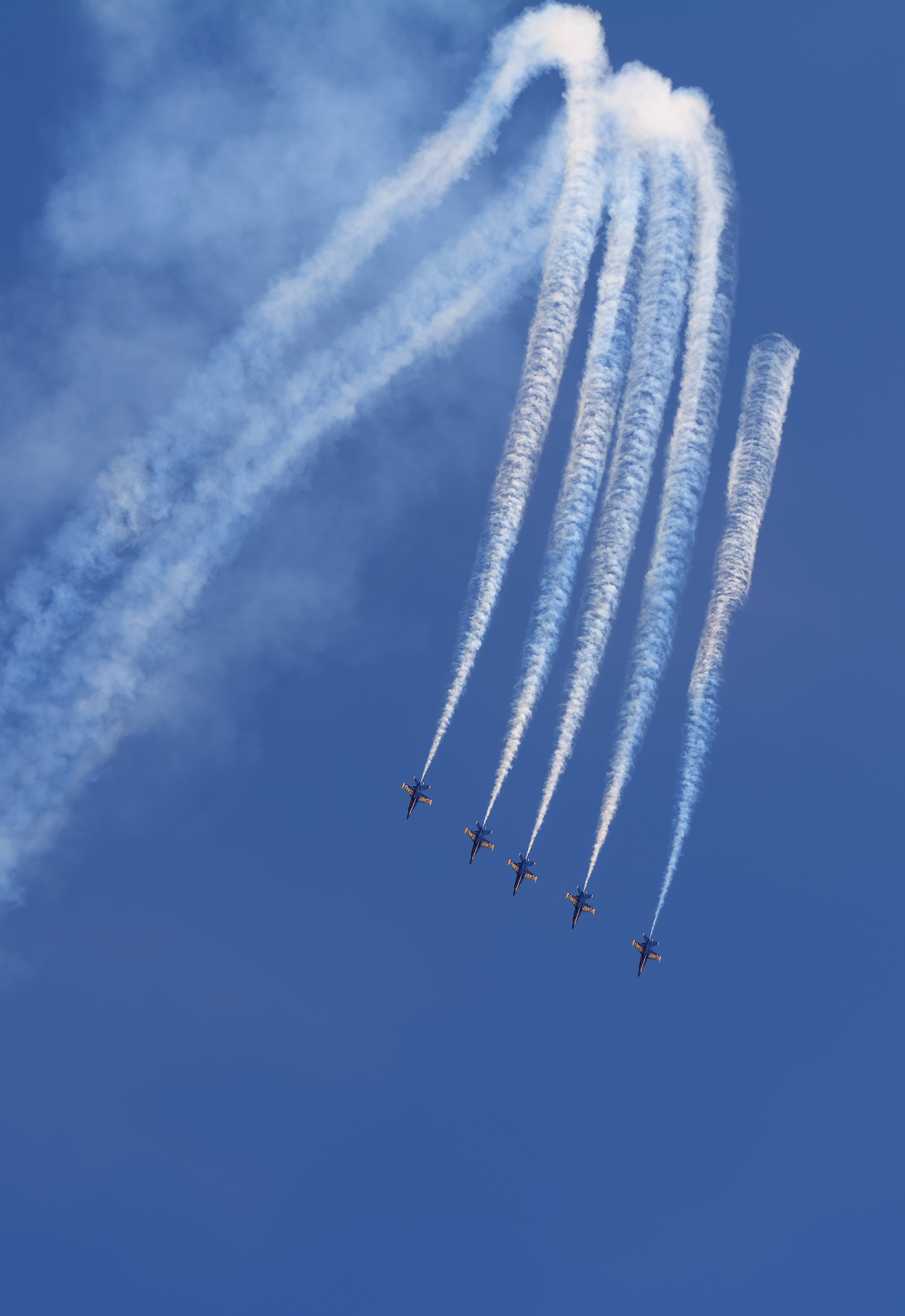 Adobe Portfolio blue angels jets Air Show Military airplanes
