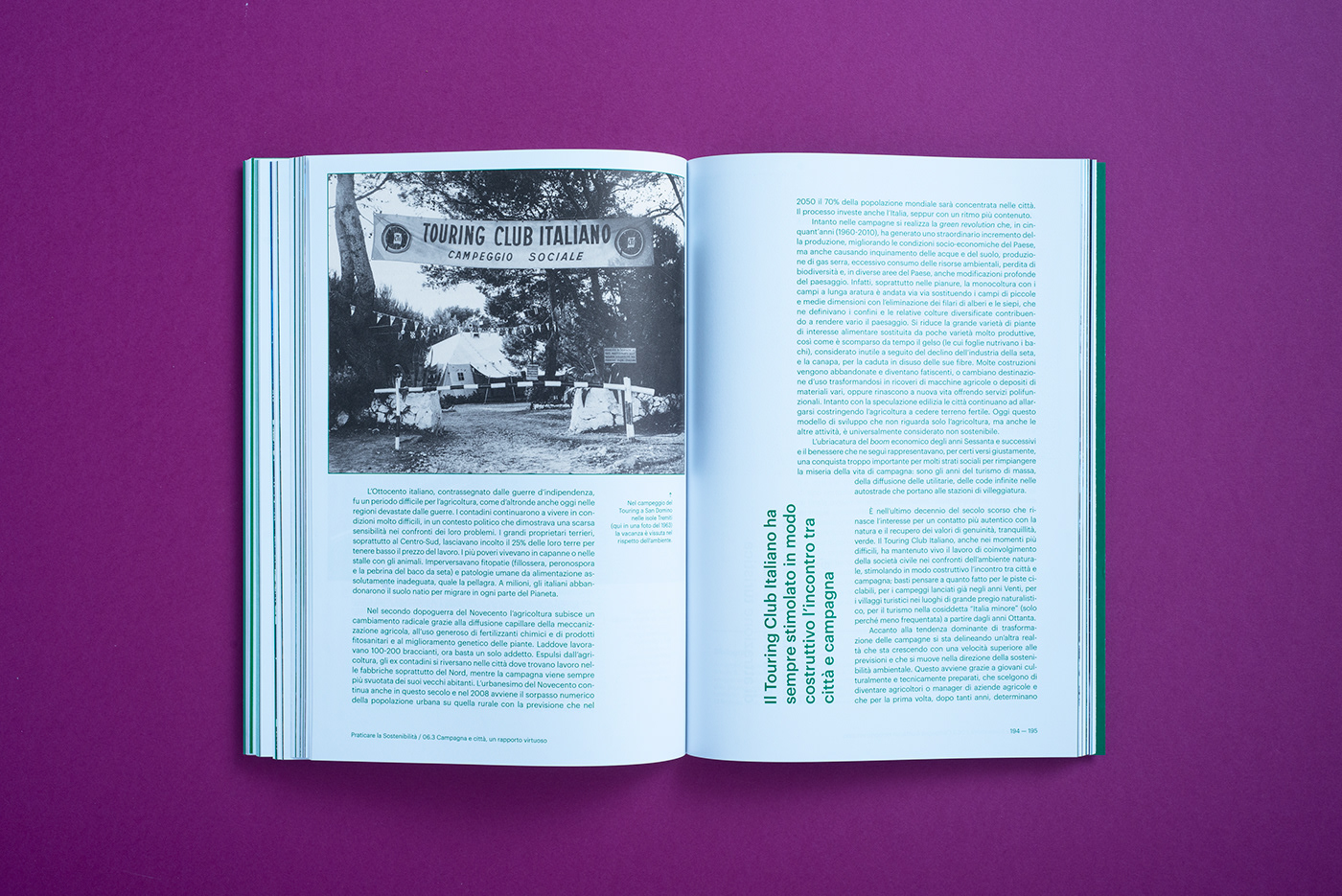 art book graphic graphicdesign green pantone Printing typography   editorial editorial design 