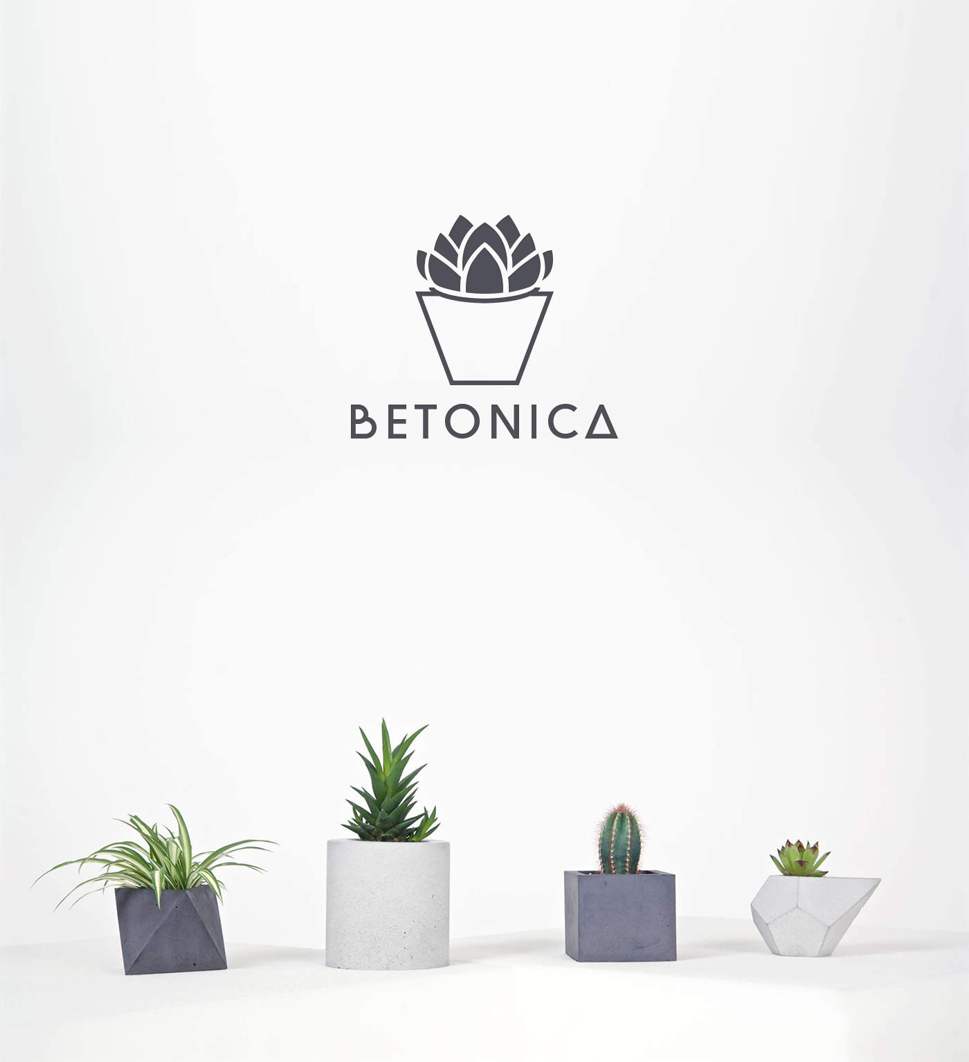 logo branding  concrete plants Flowers handmade