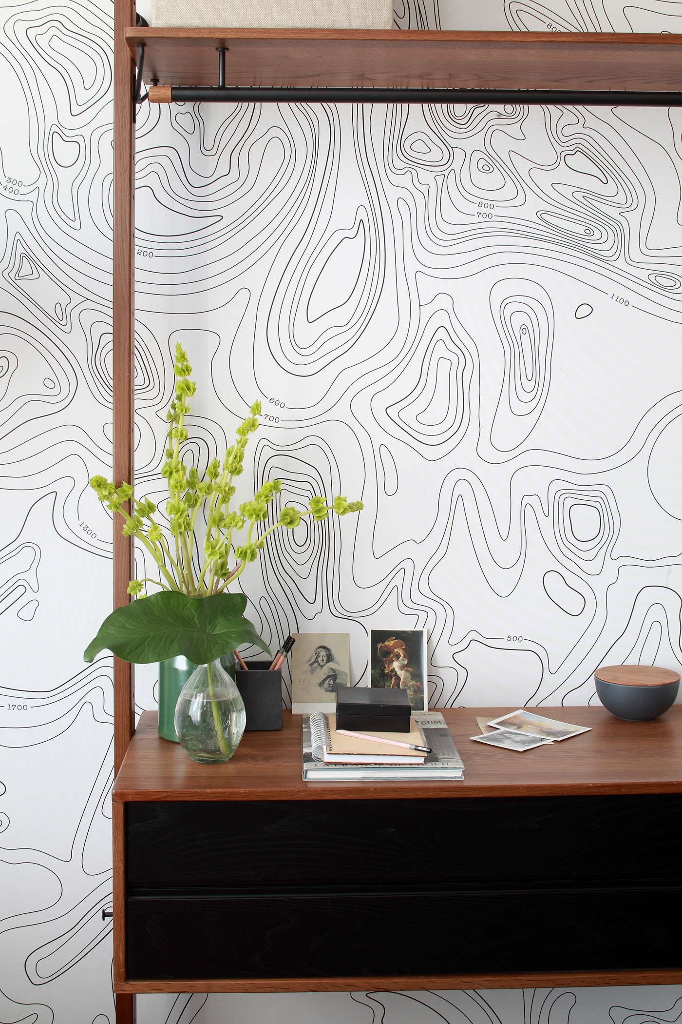 interior design  surface design wallpaper map topographic map contour lines minimalist black & white Nature