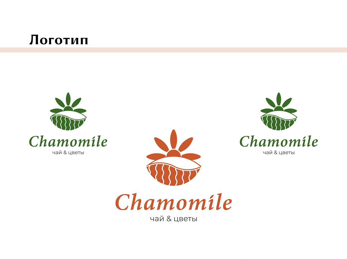 chamomile логотип ромашка цветочный чайная Flowers Logo Design Logotype tea