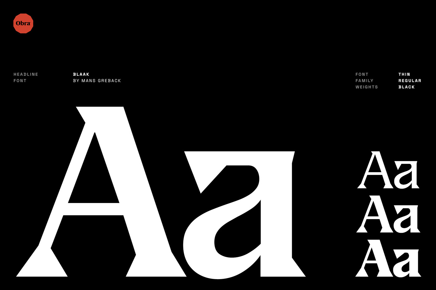 Brazilian digital agency graphic design  identidade visual Nelson Balaban visual identity brand identity Logo Design Logotype typography  