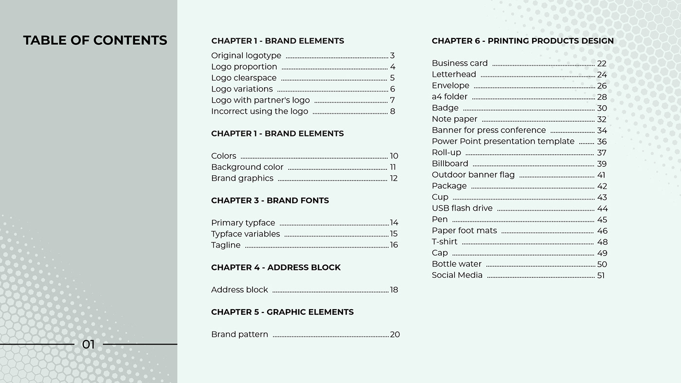 brand brand book Brand Design branding  guideline logo Logo Design logo designer Logotype typography  