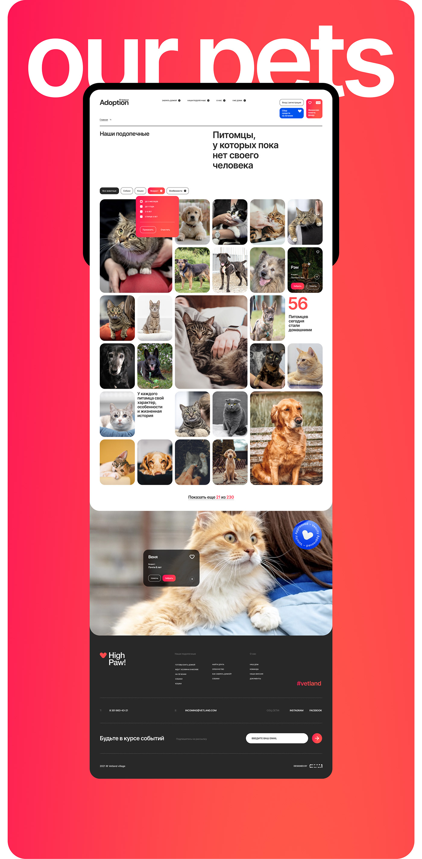 animals clinic pets promo site UI ux vet veterinary Web