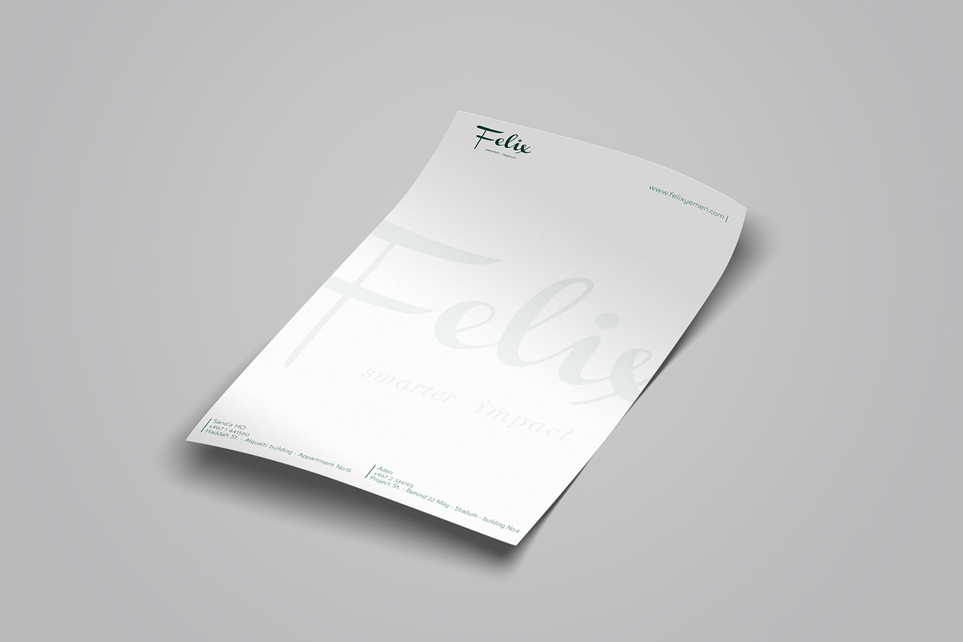 design Advertising  brand branding  company visual identity business card folder