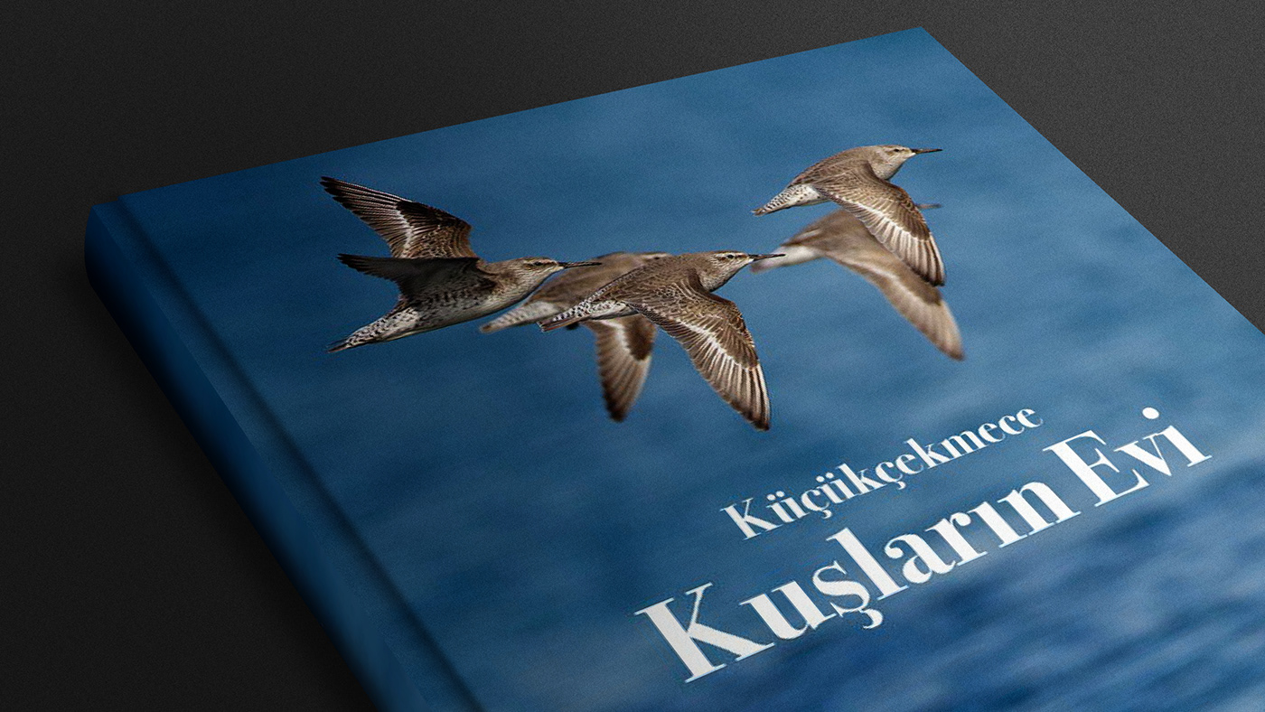birds book book design graphic design 