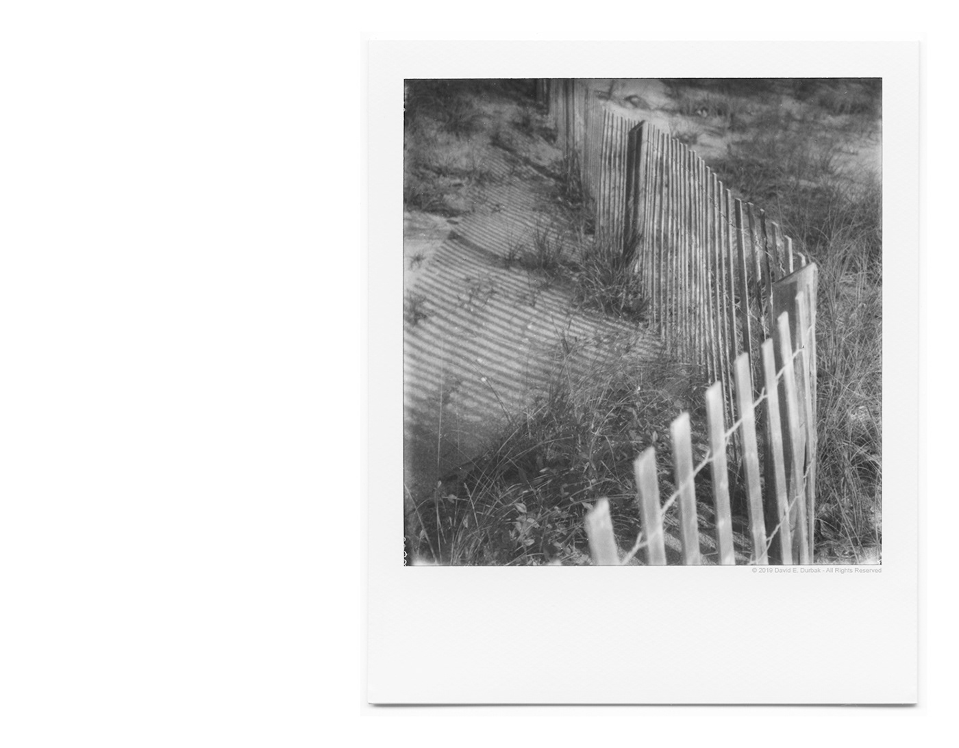 Analogue art beach black and white Film   florida POLAROID polaroid originals sx70