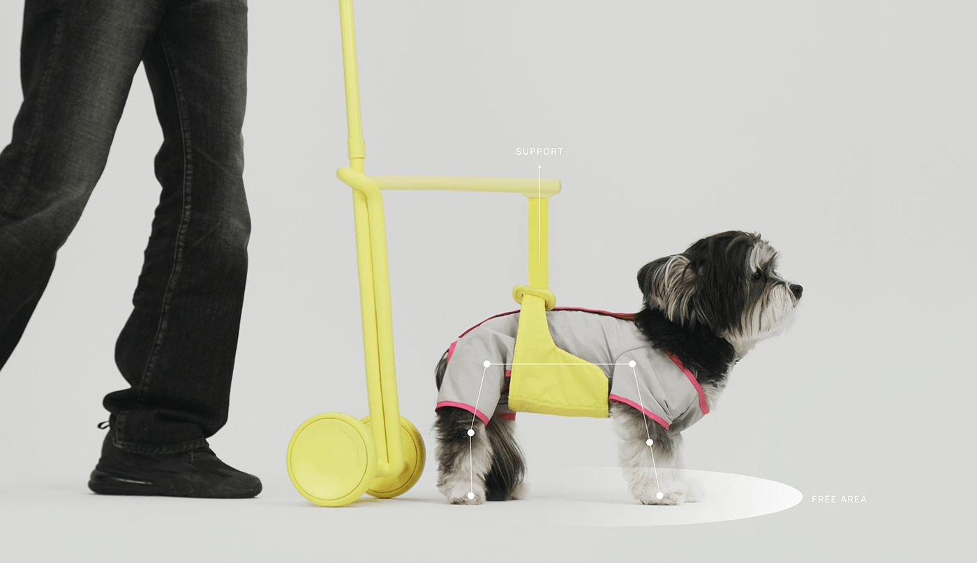 product design  universal design design animals product prototype Health walking aid Elderly dog