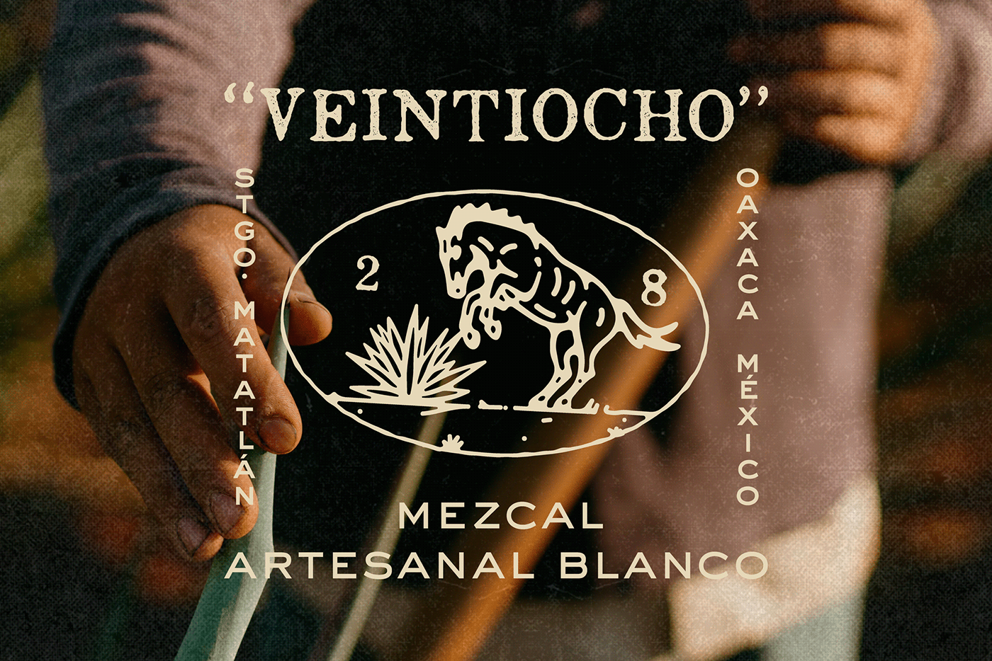 branding  Packaging mezcal Label Photography  mexico beverage oaxaca