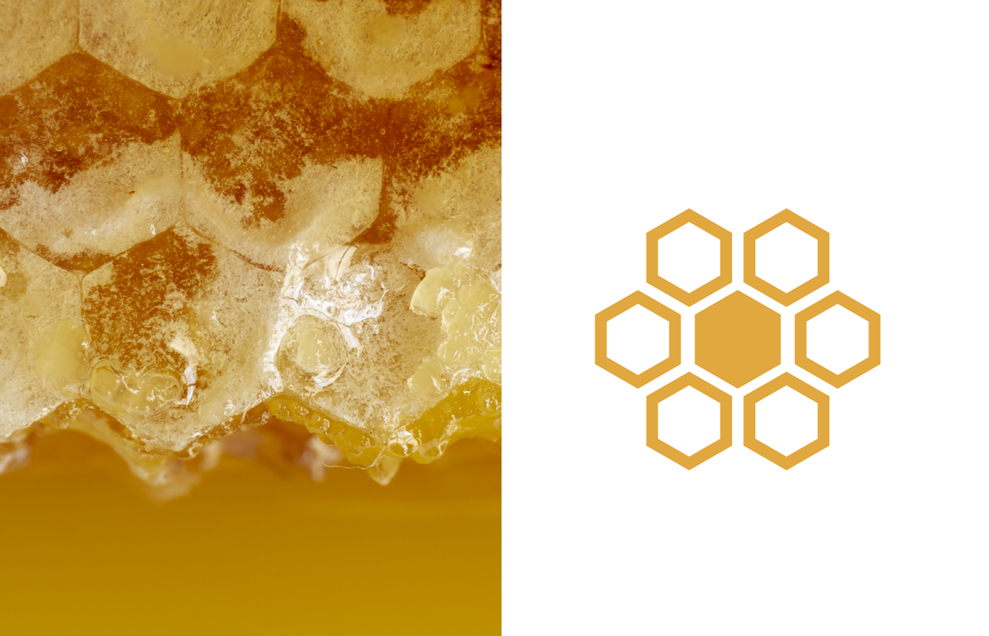 bee Brand Design brand identity design honey honeycomb logo logo designer Logotype visual identity