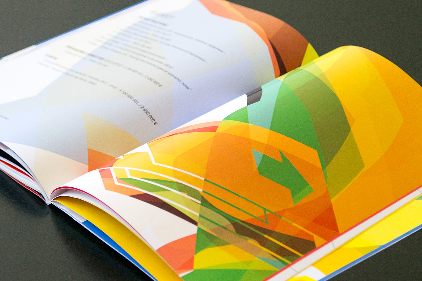 brochure tbilisi graphic design print Catalogue olympic festival Van Sage