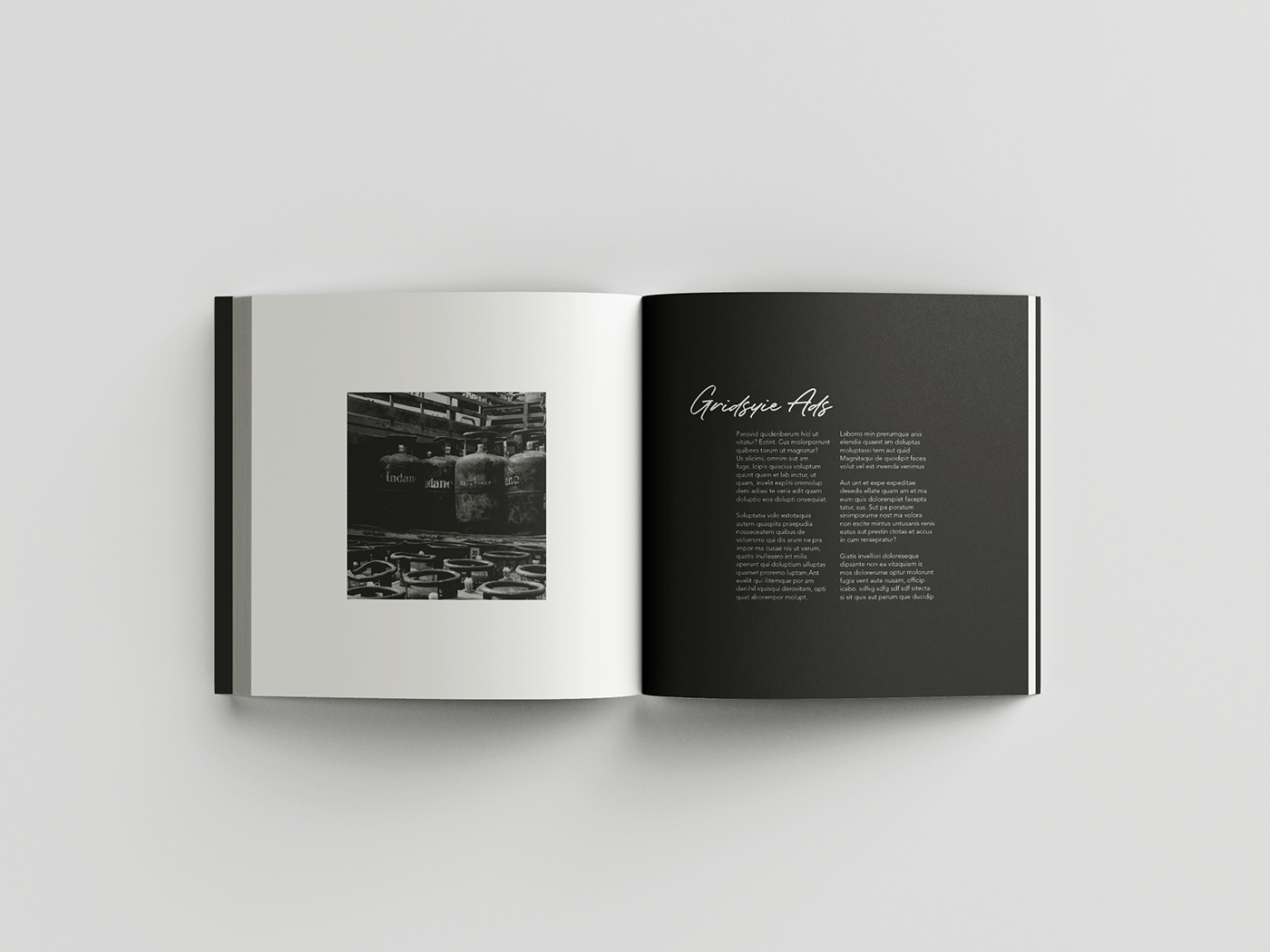 black and white book coffee table editorial editorial design  grain Layout Photography  print street photography