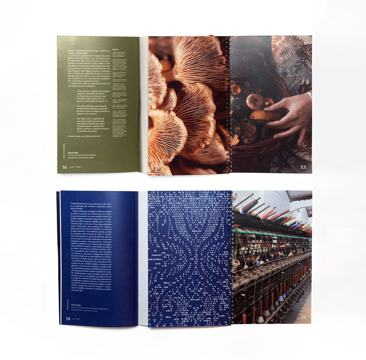 editorial design  magazine print Layout typography   Graphic Designer heritage culture editorial
