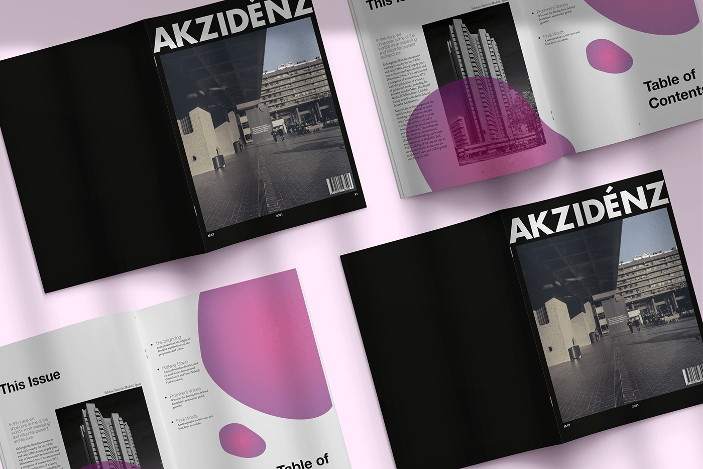 font graphic design  magazine minimal modern print typography  