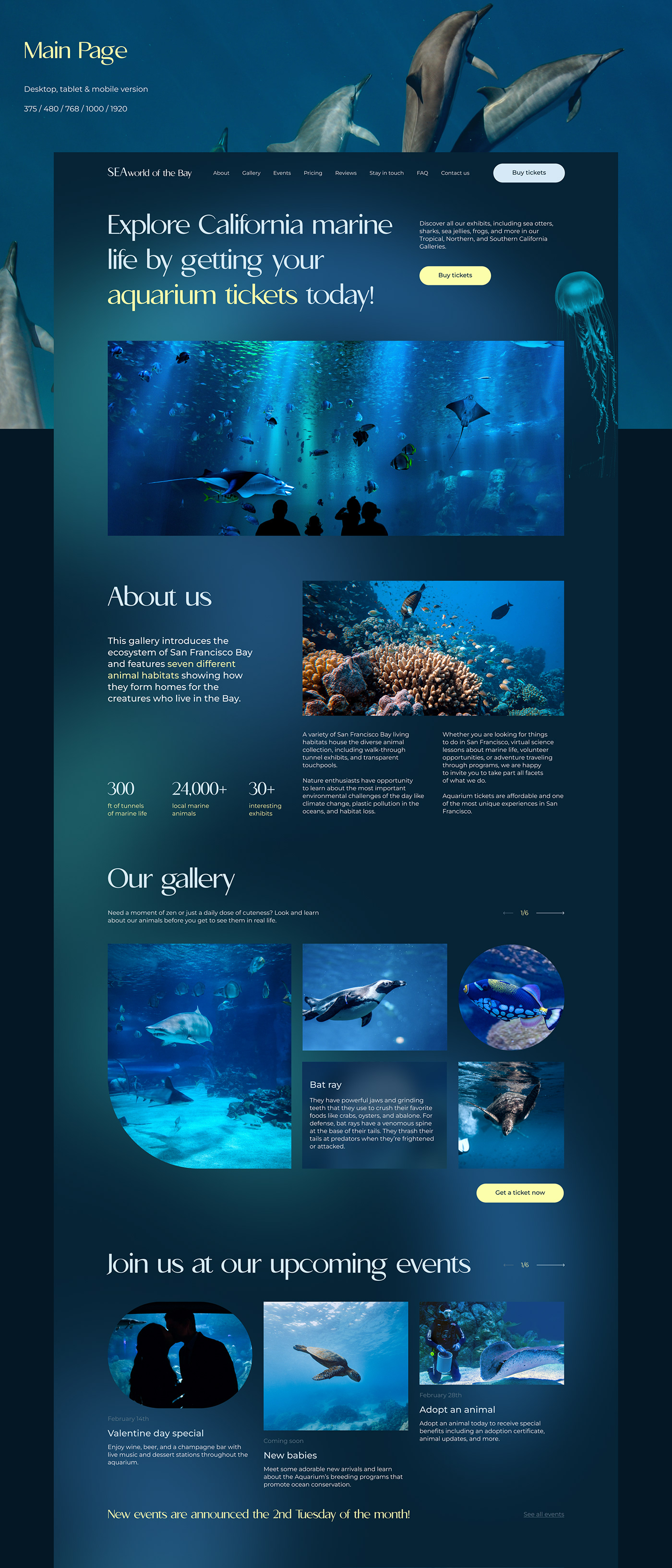 aquarium landing page Nature Ocean sea Travel UI ux water Web Design 
