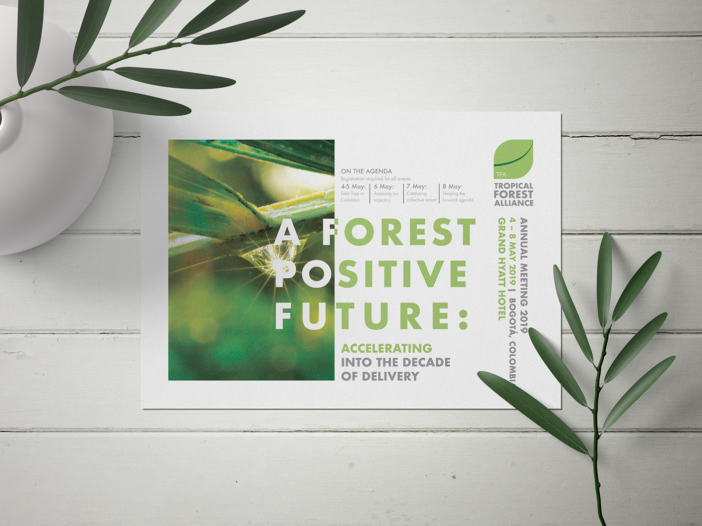 document editorial design  programme tropical forest