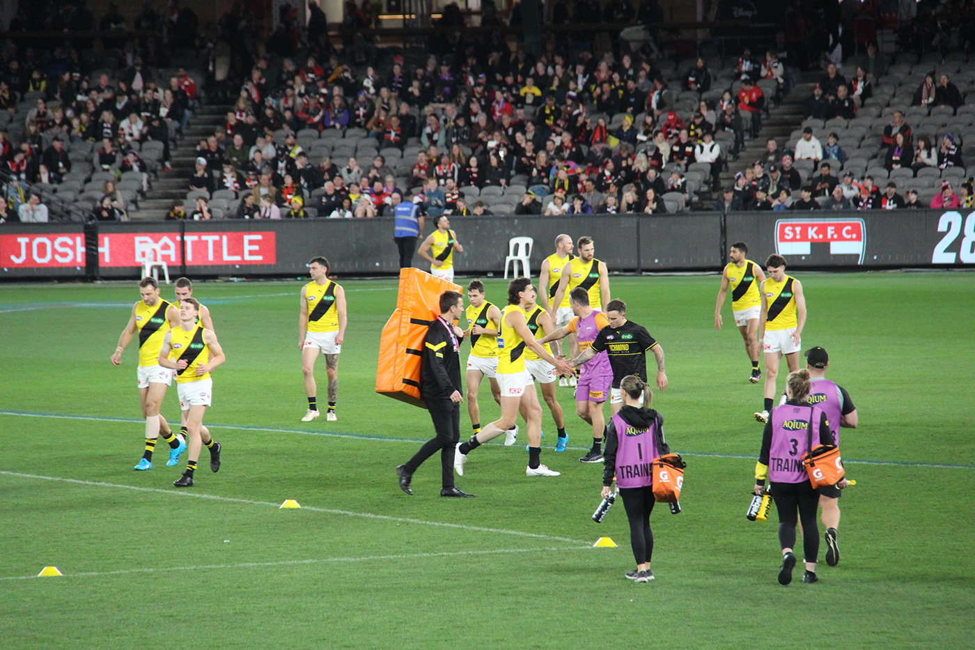 saints Richmond tigers Docklands Australia afl Marvel Stadium round twenty-two st kilda