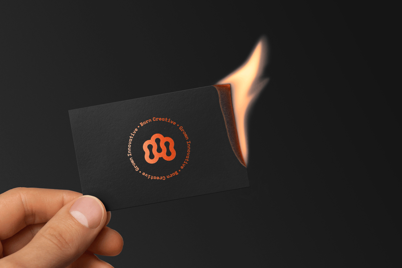 logo brand identity business card fire nuts manifesto presentation design heart knockout