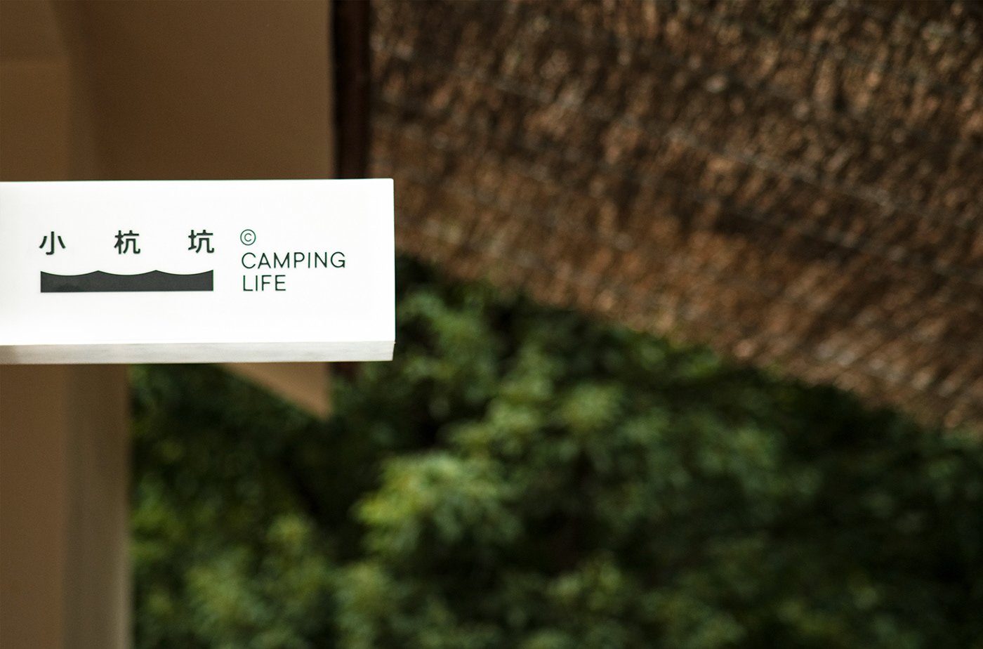 brand identity camping Logo Design typography   visual identity 品牌 露营