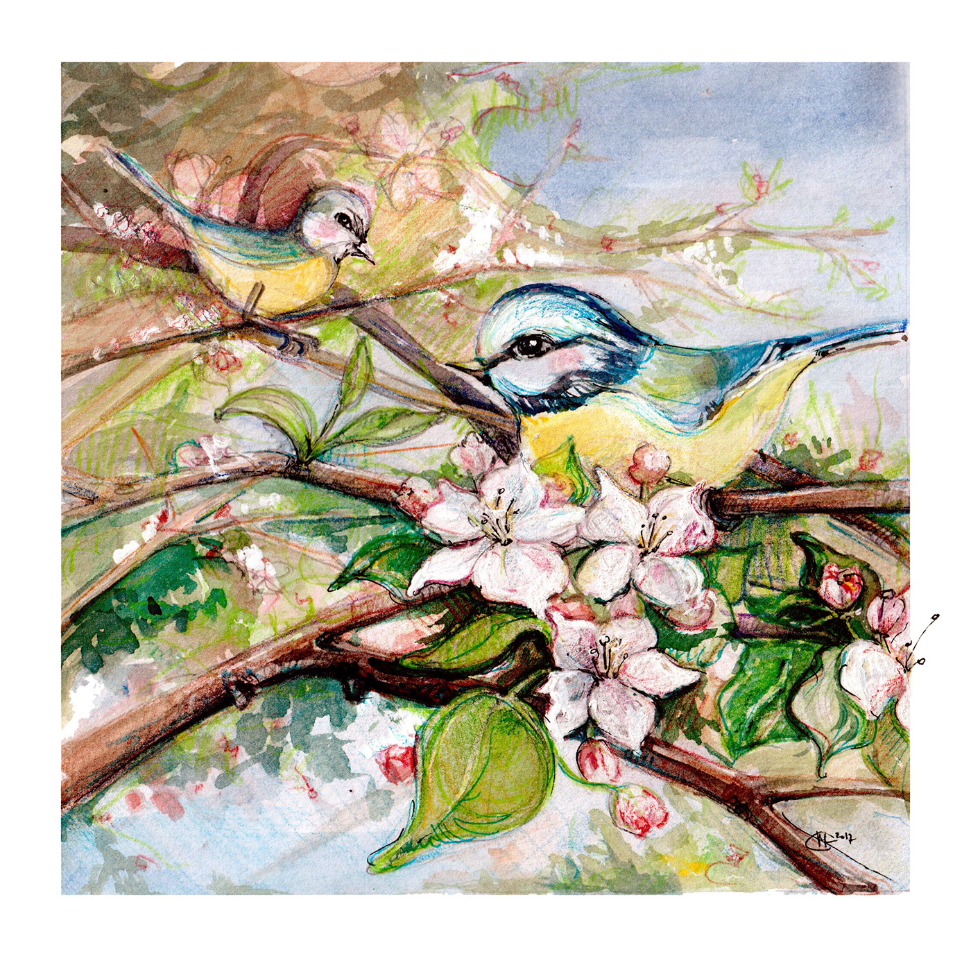 ILLUSTRATION  art illustrationartists birds appletree blossoming Drawing  Flowers illustrationart painting  