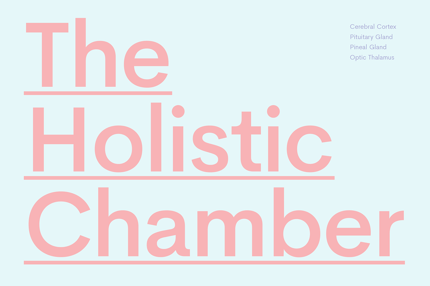 cerebri sans serif Typeface typography   graphic Futura Akzidenz Grotesk alternative circular