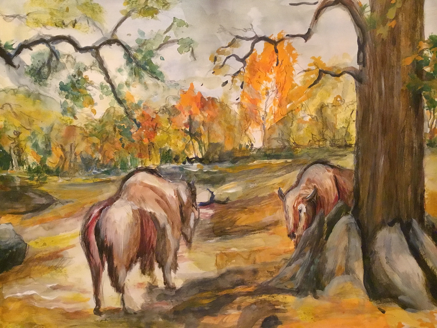 adobefresco Zeichnung animals autumn bison digital watercolor Fall In situ sketch zoo