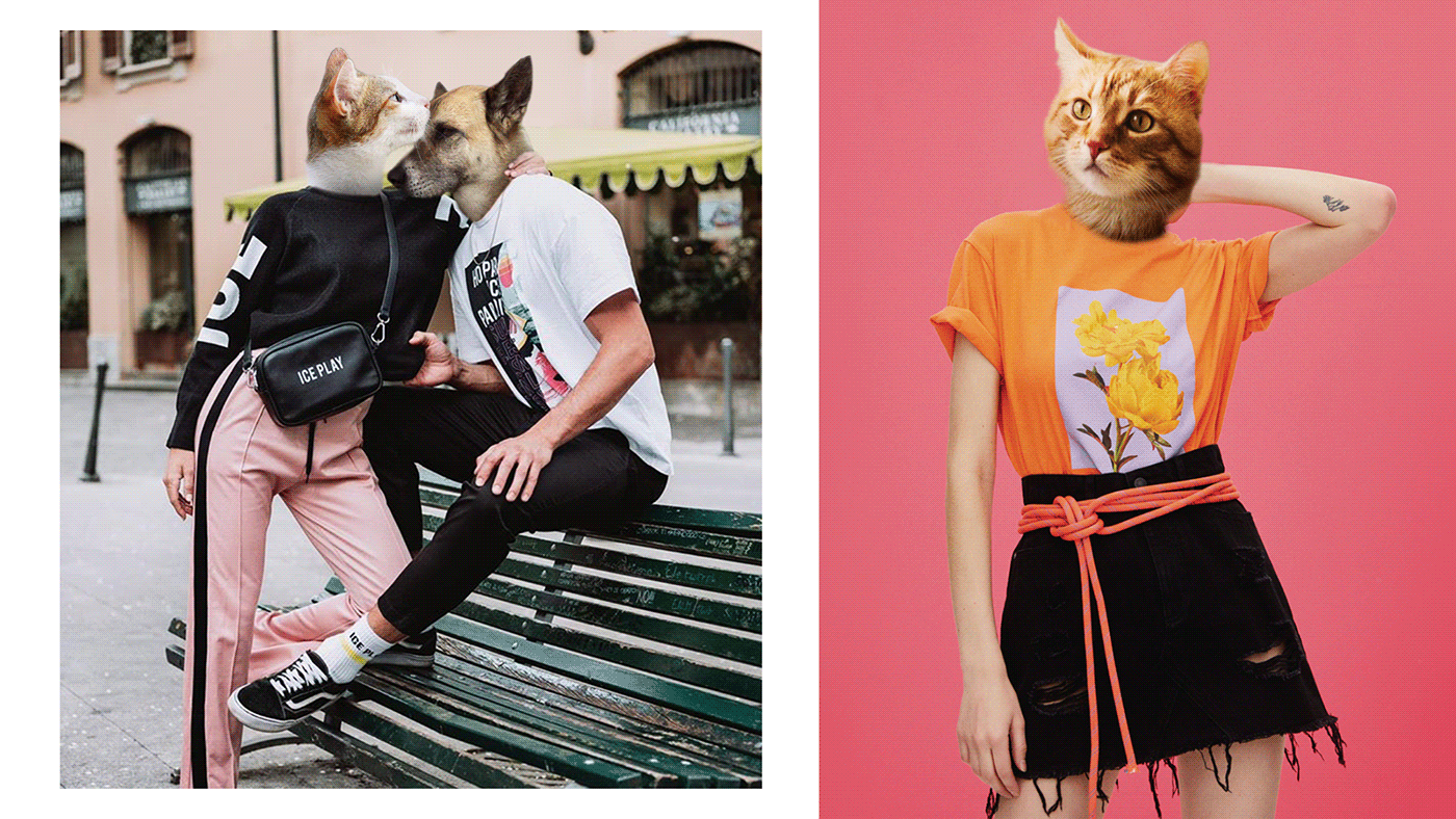 art brand Cat design Digital Art  dog Fashion  photoshop Style