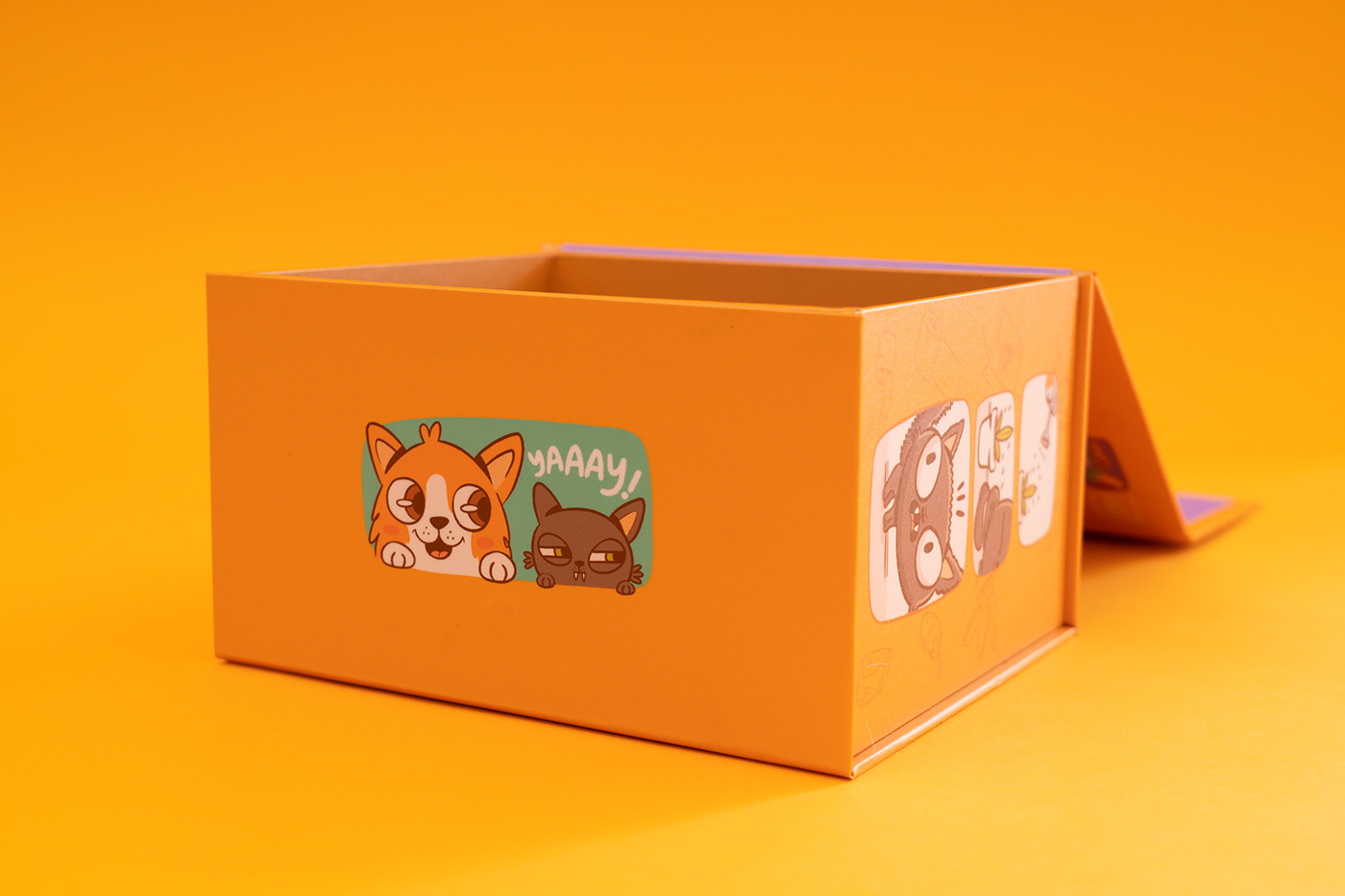arttoy catlovers charactedesign Character corgidog doglovers empaque Packaging packagingdesign toymaker