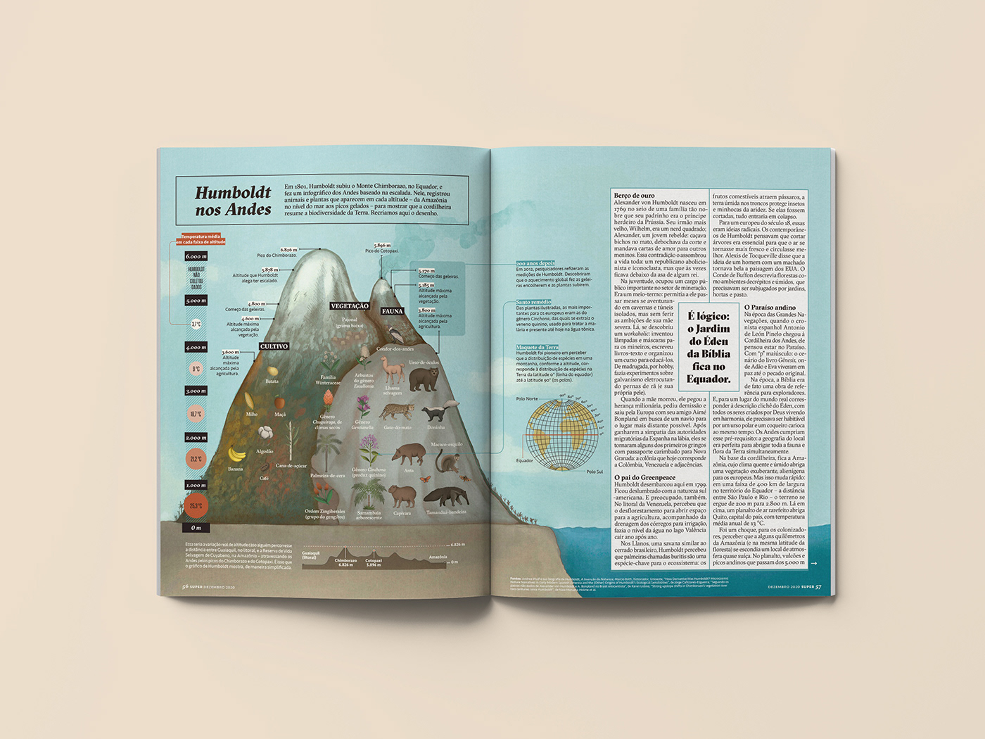 biology digital illustration editorial fauna Geography magazine Nature procreateart science superinteressante